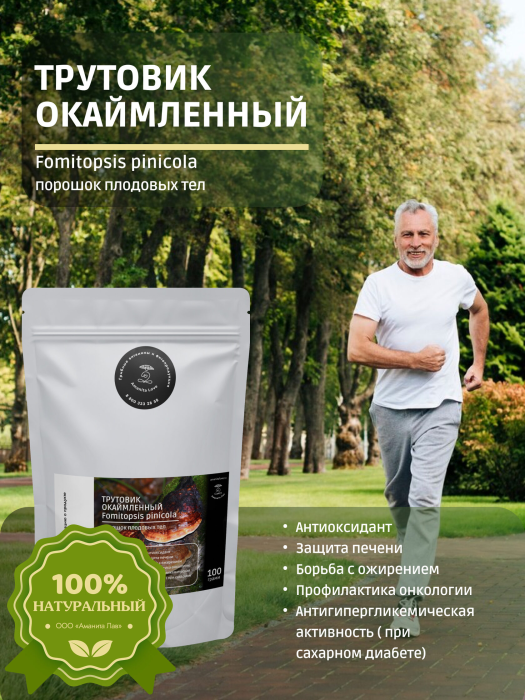 Молотый гриб трутовик окаймленный для чая 100 грамм