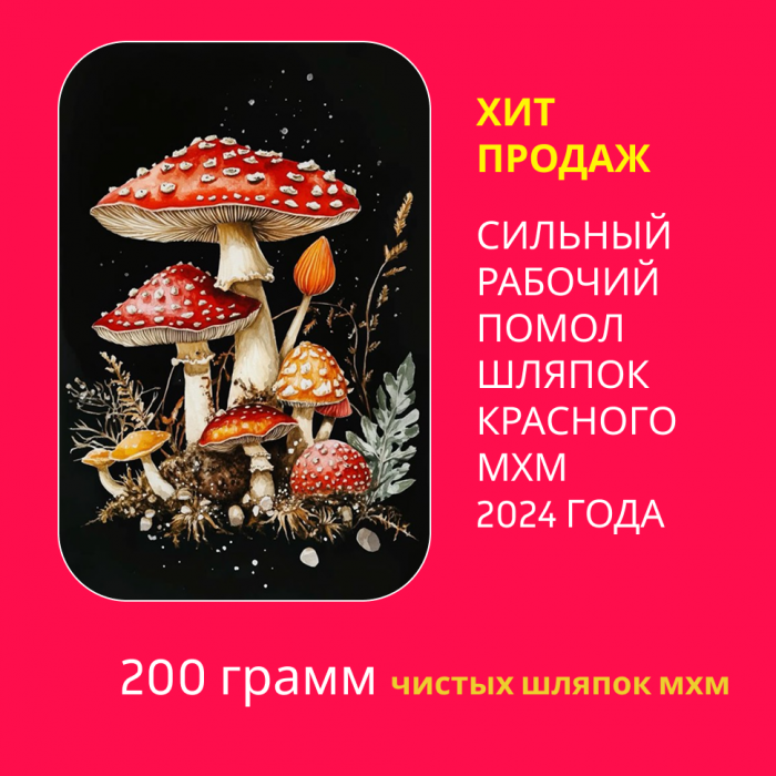 Молотый "МУХОМОР КРАСНЫЙ" 200 грамм