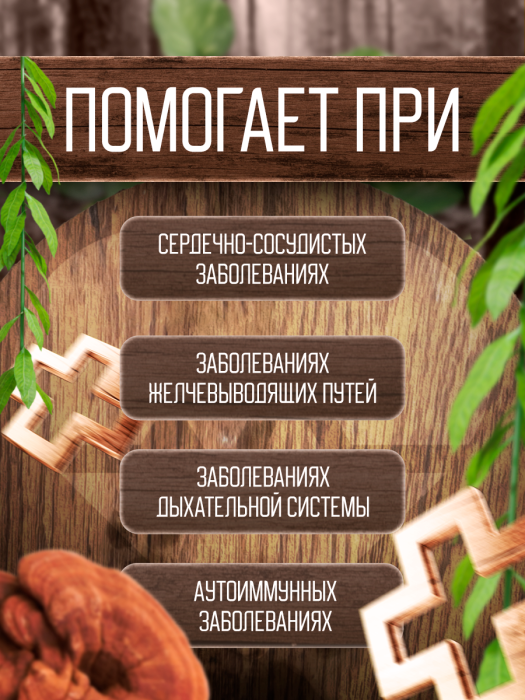 Экстракт Рейши (Ganoderma lucidum) гриб трутовик лакированный 120 капсул