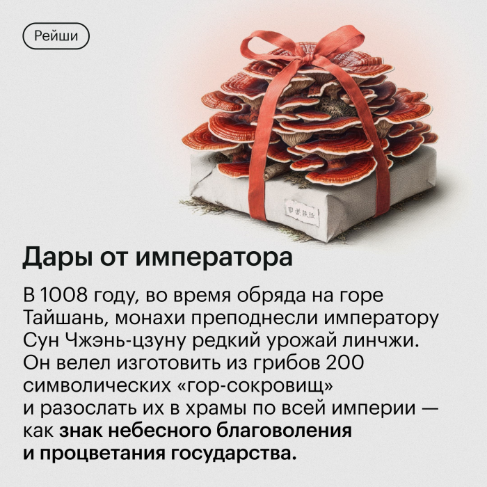 Экстракт Рейши (Ganoderma lucidum) гриб трутовик лакированный 120 капсул