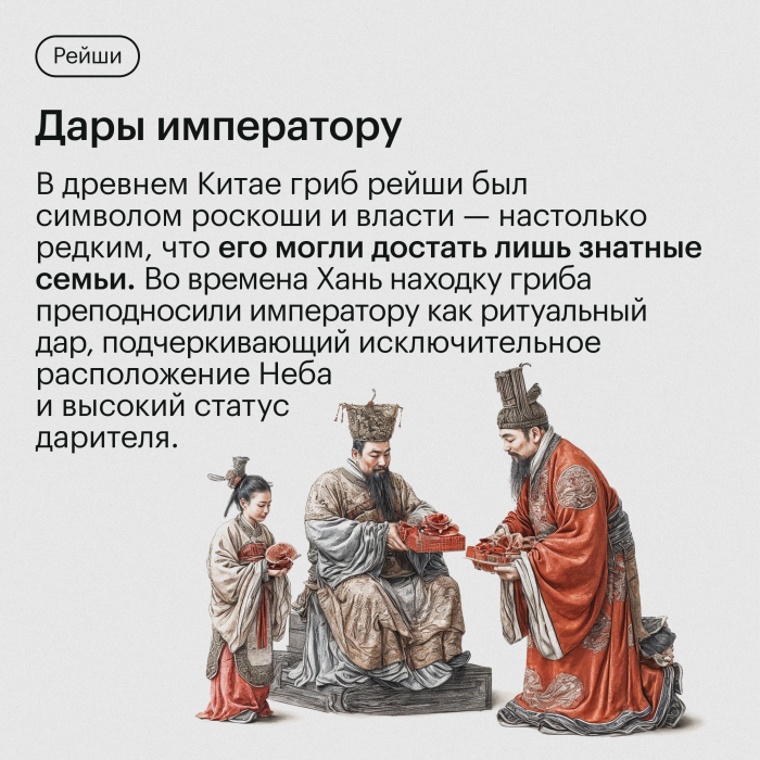 Экстракт Рейши (Ganoderma lucidum) гриб трутовик лакированный 120 капсул