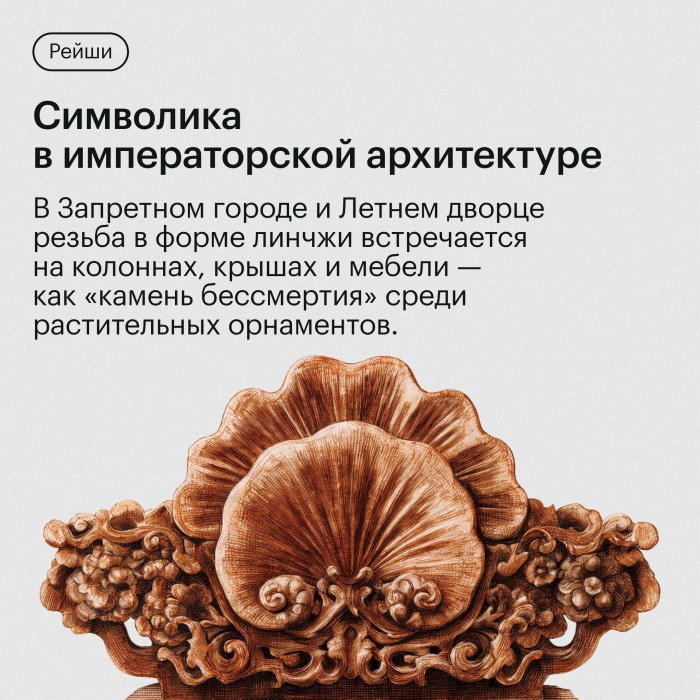 Экстракт Рейши (Ganoderma lucidum) гриб трутовик лакированный 120 капсул