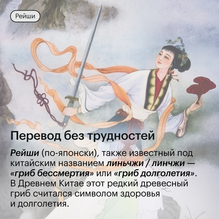 Экстракт Рейши (Ganoderma lucidum) гриб трутовик лакированный 120 капсул