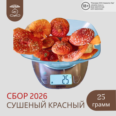 Мухомор красный 25 гр Новый урожай 2026