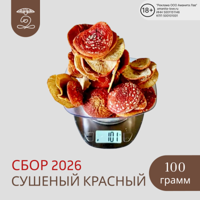 Мухомор красный 100 гр Новый урожай 2026