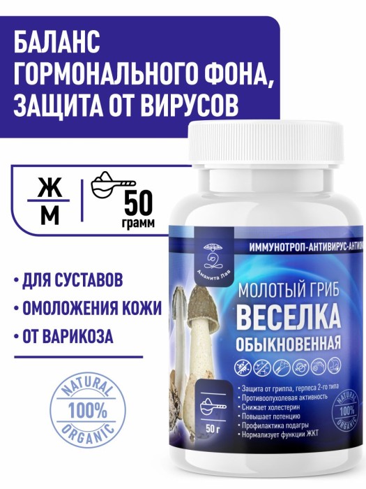 Гриб Веселка Обыкновенная молотые сушеные плоды 50 грамм