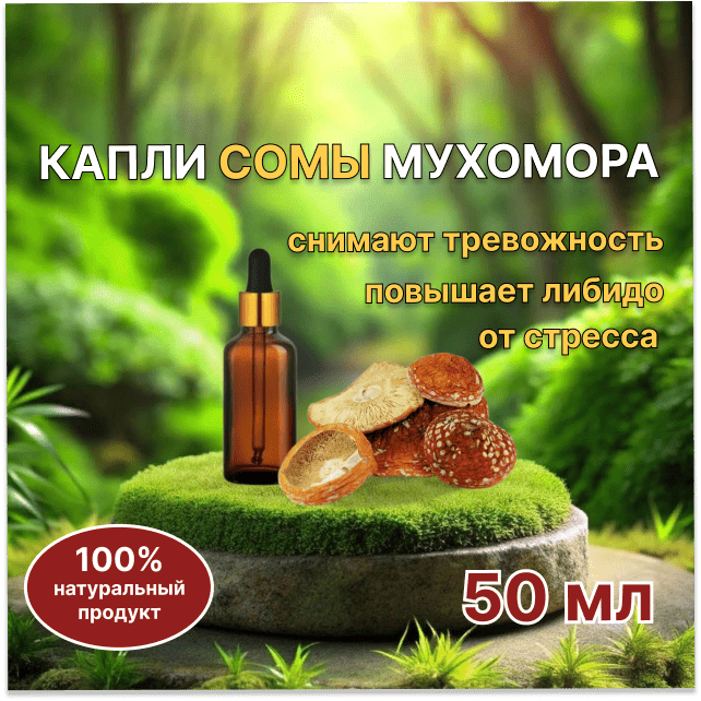 Сома из красного мухомора
