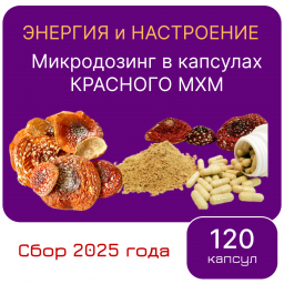 Микродозинг красного мухомора 120 капс от 0,5 гр до 0,6 гр (2025)