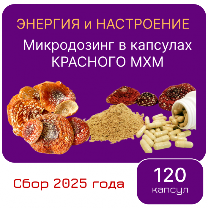 Микродозинг красного мухомора 120 капс от 0,5 гр до 0,6 гр