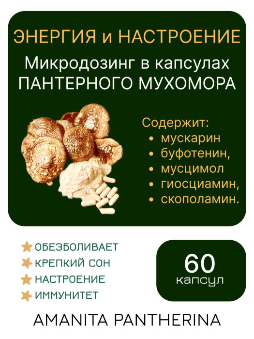 Микродозинг пантерного мухомора 60 капс по 0,5-0,6 гр