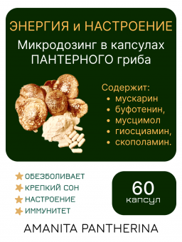 Микродозинг пантерного мухомора 60 капс по 0,5-0,6 гр Микродозинг пантерного мухомора 60 капс по 0,5-0,6 гр