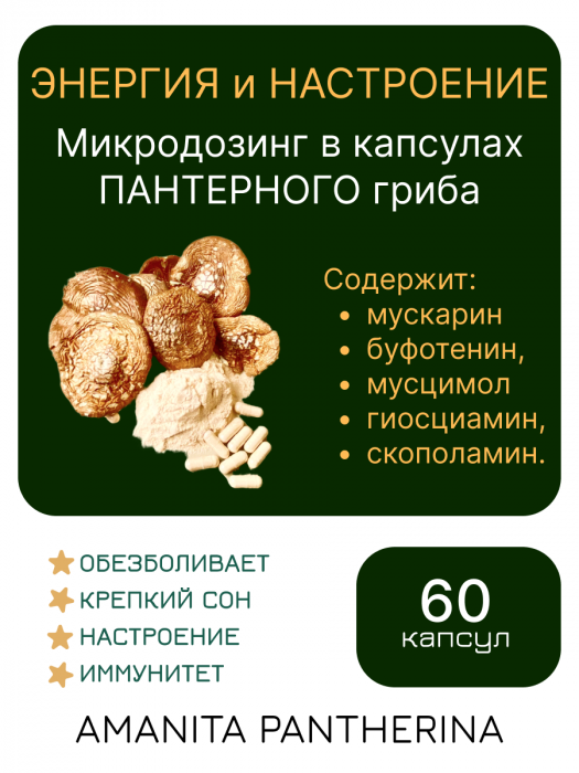 Микродозинг пантерного мухомора 60 капс по 0,5-0,6 гр