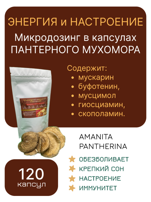 Микродозинг пантерного мухомора 120 капс по 0,5-0,6 гр