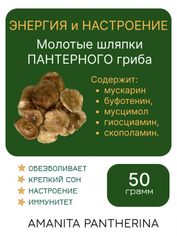 ПАНТЕРНЫЙ ГРИБ Алтайский молотые в порошок шляпки 50 грамм ПАНТЕРНЫЙ ГРИБ Алтайский молотые в порошок шляпки 50 грамм