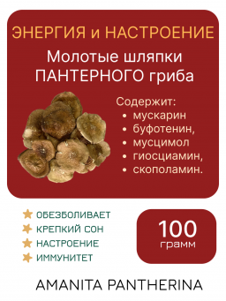 ПАНТЕРНЫЙ ГРИБ Алтая молотые шляпки 100 грамм ПАНТЕРНЫЙ ГРИБ Алтая молотые шляпки 100 грамм