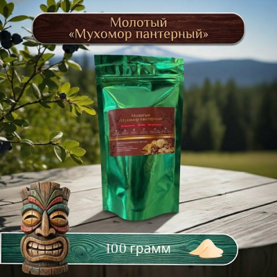 Пантерный мухомор молотые шляпки 100 грамм / СБОР 2026 года