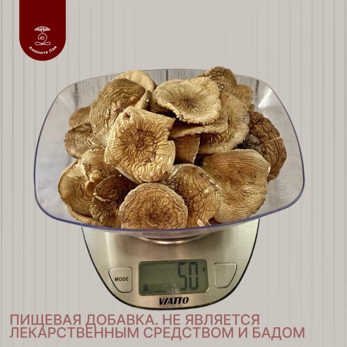 ПАНТЕРНЫЙ ГРИБ Алтайский 50 грамм сушеные шляпки