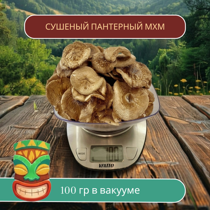 Пантерный мухомор 100 грамм, 1 сорт, НОВЫЙ УРОЖАЙ 2026 года