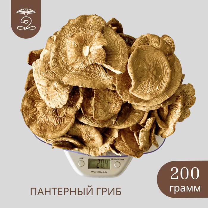 ПАНТЕРНЫЙ ГРИБ Алтайский сушеные шляпки 200 грамм