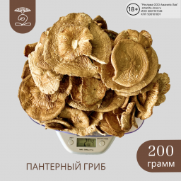 ПАНТЕРНЫЙ ГРИБ Алтайский сушеные шляпки 200 грамм (200 гр шляпок пантерного гриба) ПАНТЕРНЫЙ ГРИБ Алтайский сушеные шляпки 200 грамм (200 гр шляпок пантерного гриба)