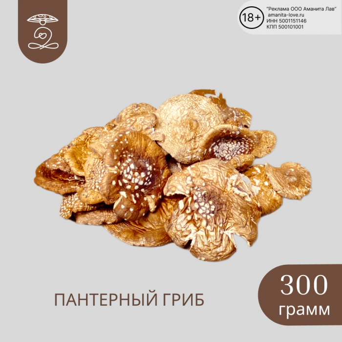 ПАНТЕРНЫЙ ГРИБ Алтайский сушеные шляпки 300 грамм