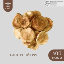 ПАНТЕРНЫЙ ГРИБ Алтая сушеные шляпки 400 грамм (400 гр шляпок пантерного мухомора) ПАНТЕРНЫЙ ГРИБ Алтая сушеные шляпки 400 грамм (400 гр шляпок пантерного мухомора)