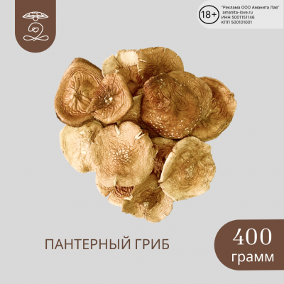 ПАНТЕРНЫЙ ГРИБ Алтая сушеные шляпки 400 грамм