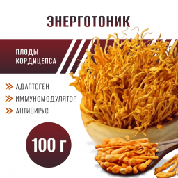 Гриб КОРДИЦЕПС (Милитарис) плоды целые 100 грамм Гриб КОРДИЦЕПС (Милитарис) плоды целые 100 грамм