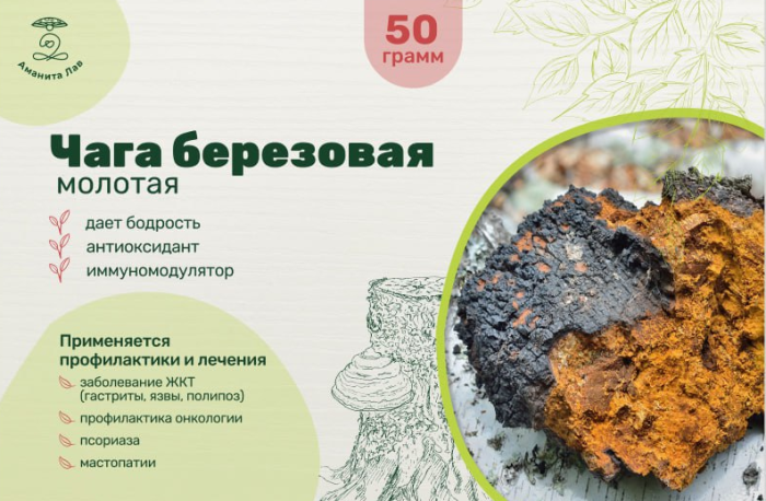 Чага Березовая молотая 50 грамм для чагового чая