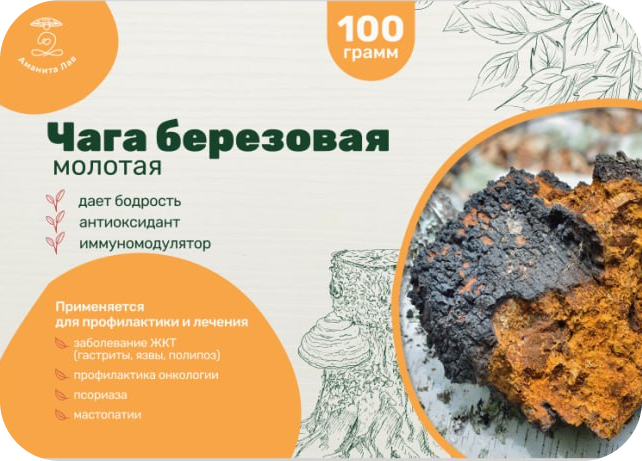 Березовая ЧАГА среднего помола 100 грамм для чая