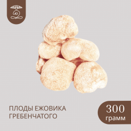 Плоды целые ЕЖОВИКА Гребенчатого 300 грамм